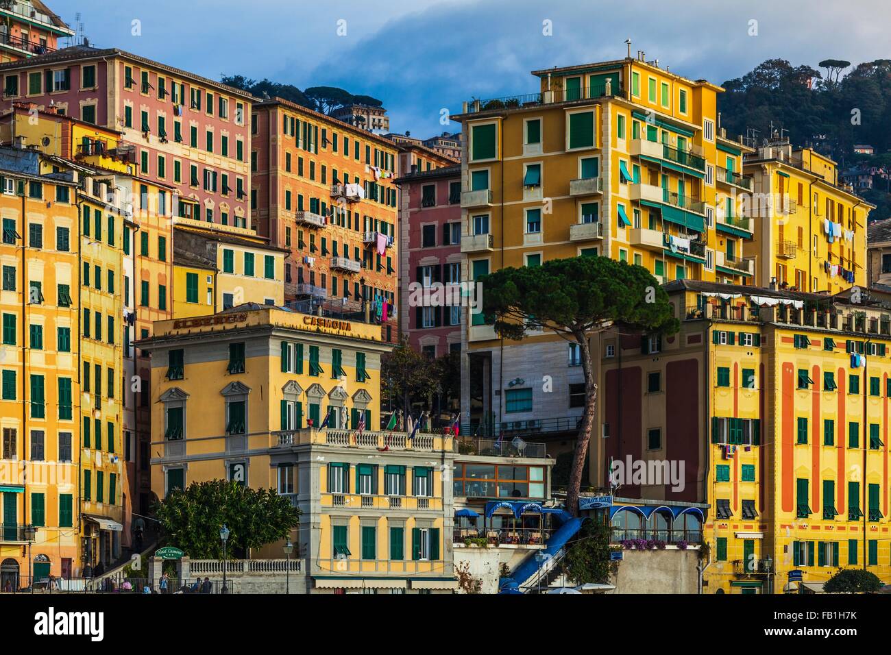 Detail der farbenfrohen Apartments und Hotels auf Hügel, Camogli, Ligurien, Italien Stockfoto