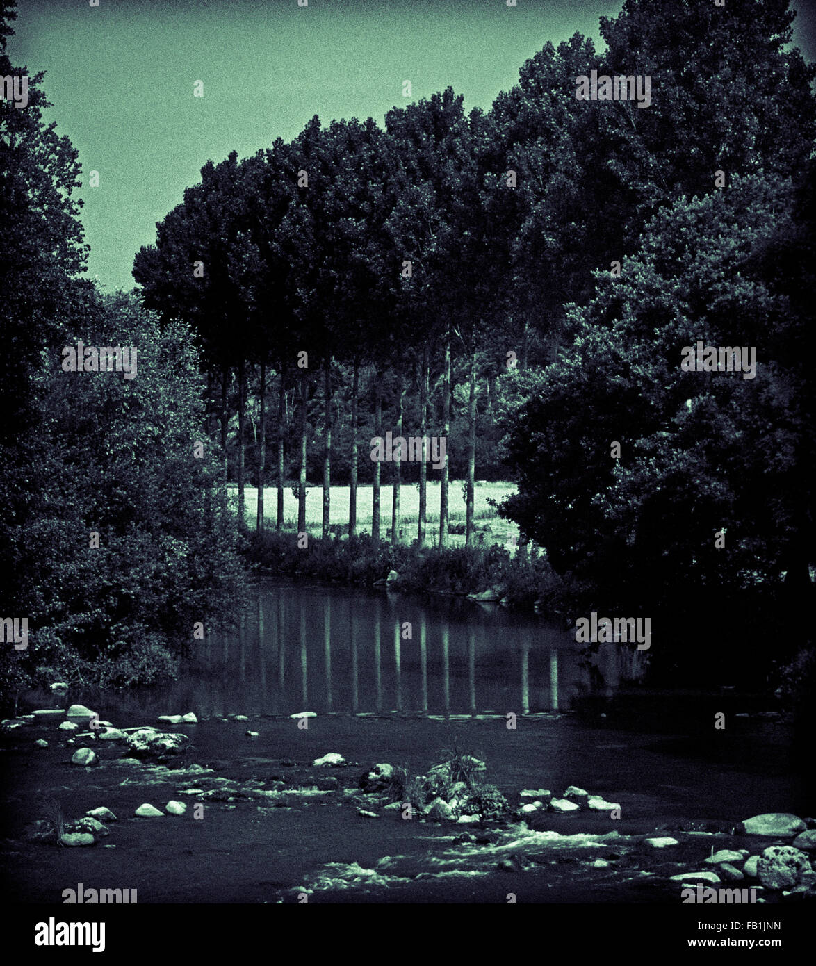 Fluss Sarthe in der Nähe von SaintFromagerieleGérei, Normandie, Frankreich Stockfotografie