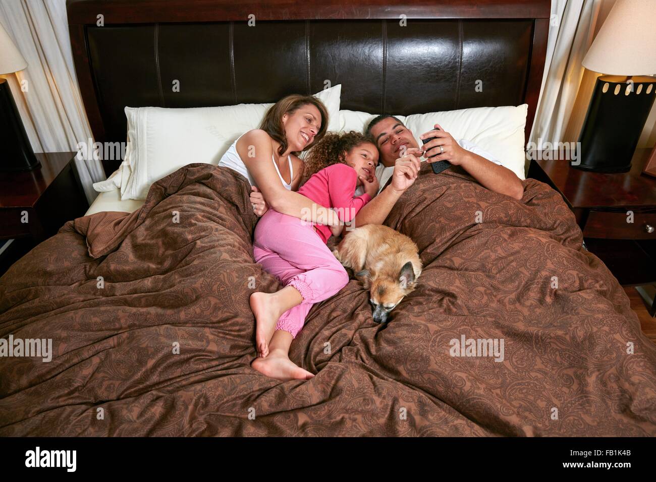 Erhöhte Ansicht von Mädchen im Bett mit Eltern und Hund lächelnd Smartphone betrachten Stockfoto