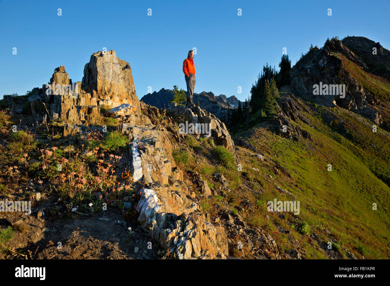 Kleiner Riese Stockfotos und bilder Kaufen Alamy Kleiner Riese Stockfotos und bilder Kaufen Alamy