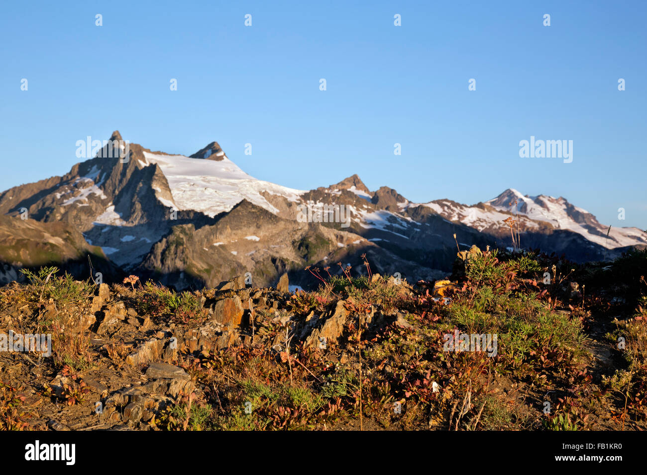 WA12526-00... WASHINGTON - auf Clark Berge und Gletscher Peak von Little Giant übergeben Sie die Glacier Peak Wilderness Area. Stockfoto