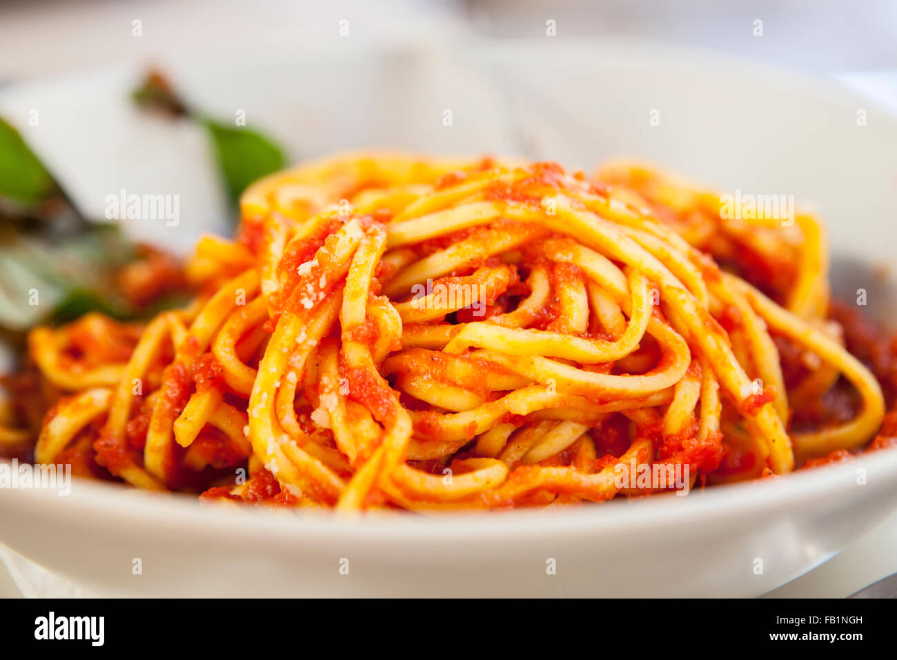 Teller mit Spaghetti Bolognese mit Basilikum garnieren. Nahaufnahme mit selektiven Fokus erschossen Stockfoto