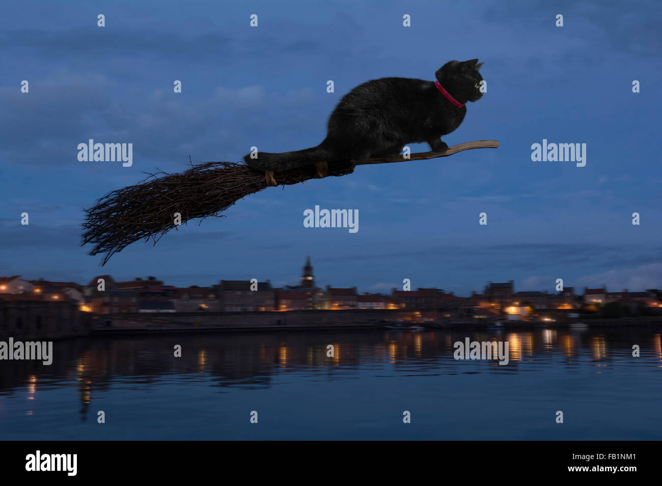 Schwarze Katze auf einem fliegenden Besen Stockfoto