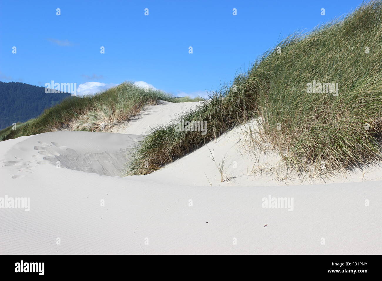 Oregon-Sanddünen Stockfoto