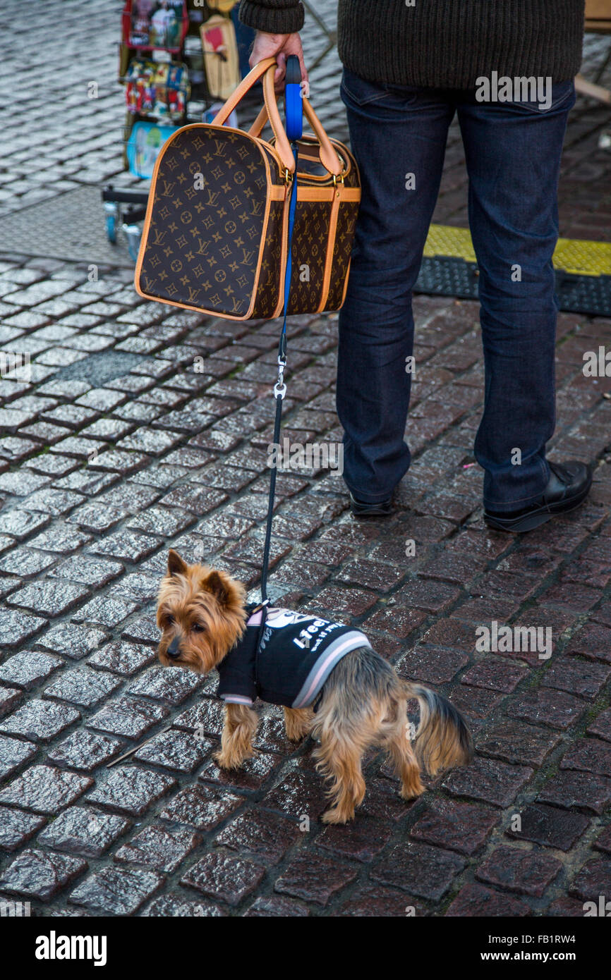 Mann mit einer Louis Vuitton Hundetasche und kleine Yorkshire-Terrier  Stockfotografie - Alamy