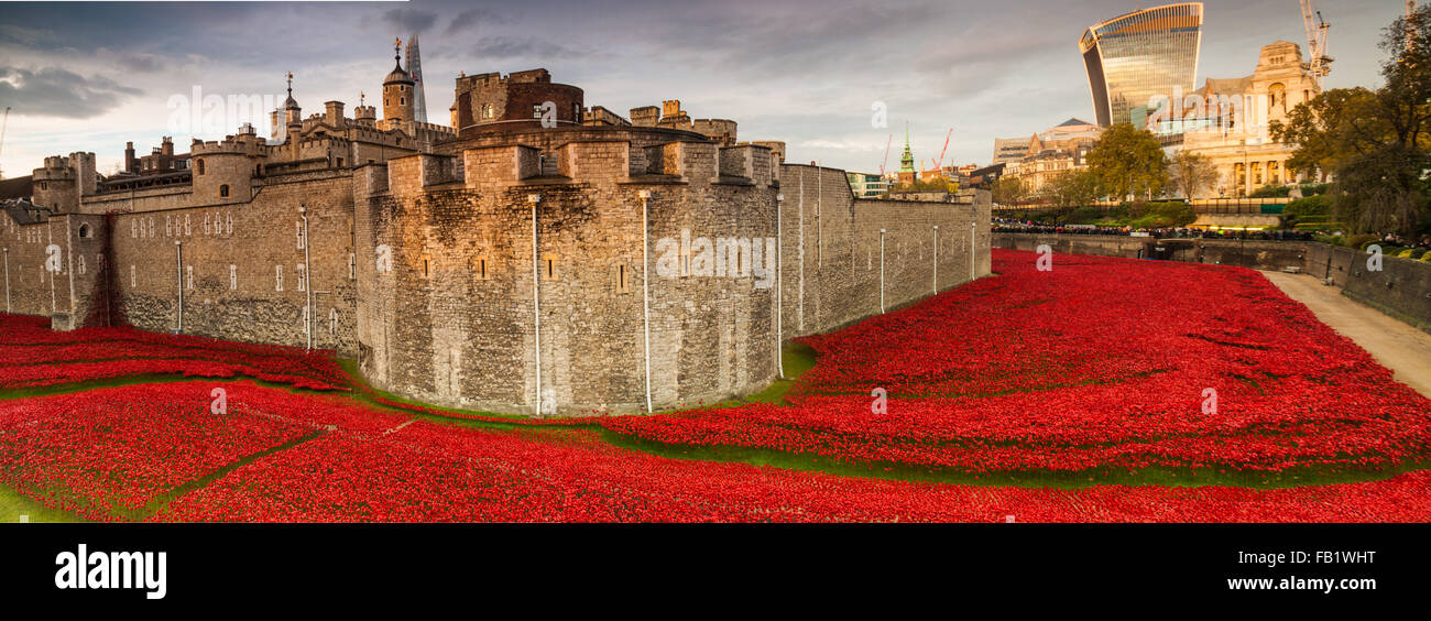 Dieser erstaunliche Kunstinstallation über 800000 Keramik Mohnblumen in den Tower of London, anlässlich des 100. Jahrestages des 1. Weltkrieges Stockfoto