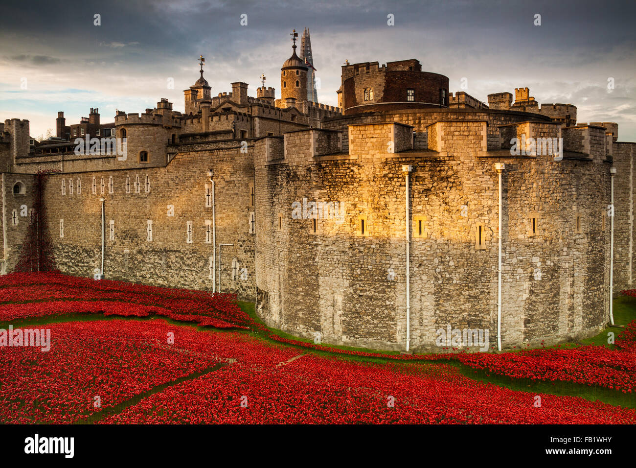 Dieser erstaunliche Kunstinstallation über 800000 Keramik Mohnblumen in den Tower of London, anlässlich des 100. Jahrestages des 1. Weltkrieges Stockfoto