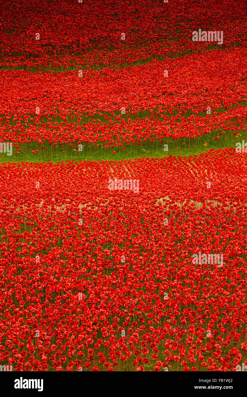 Dieser erstaunliche Kunstinstallation über 800000 Keramik Mohnblumen in den Tower of London, anlässlich des 100. Jahrestages des 1. Weltkrieges Stockfoto