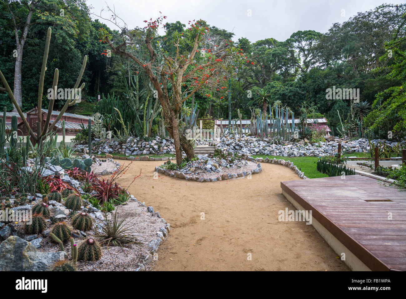 Botanischer Garten, Kakteen, Rio De Janeiro, Brasilien Stockfoto