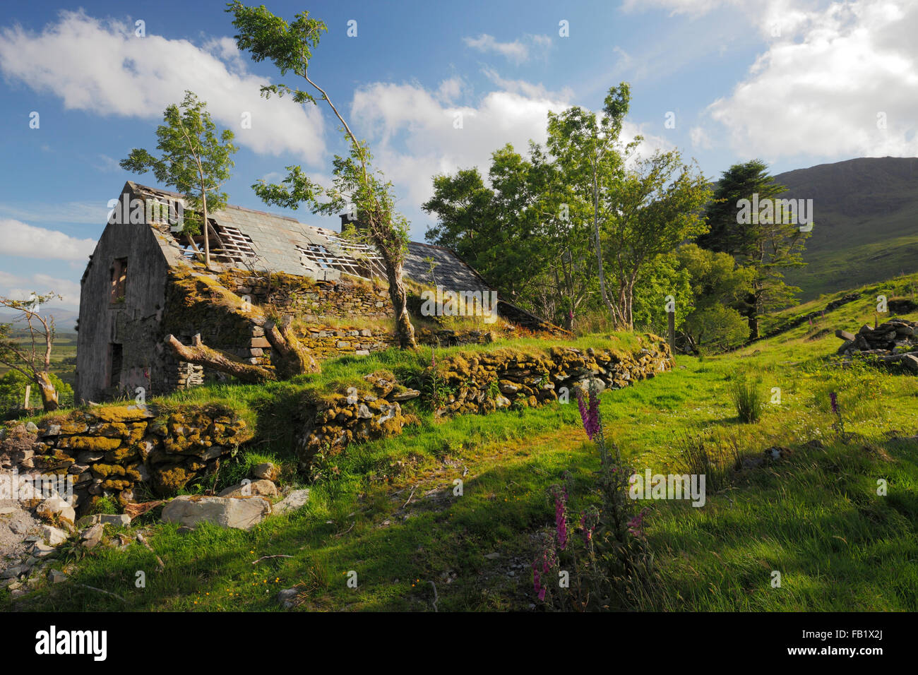 Alte verlassene Hütte in den Bergen von Iveragh-Halbinsel, Co. Kerry, Irland Stockfoto