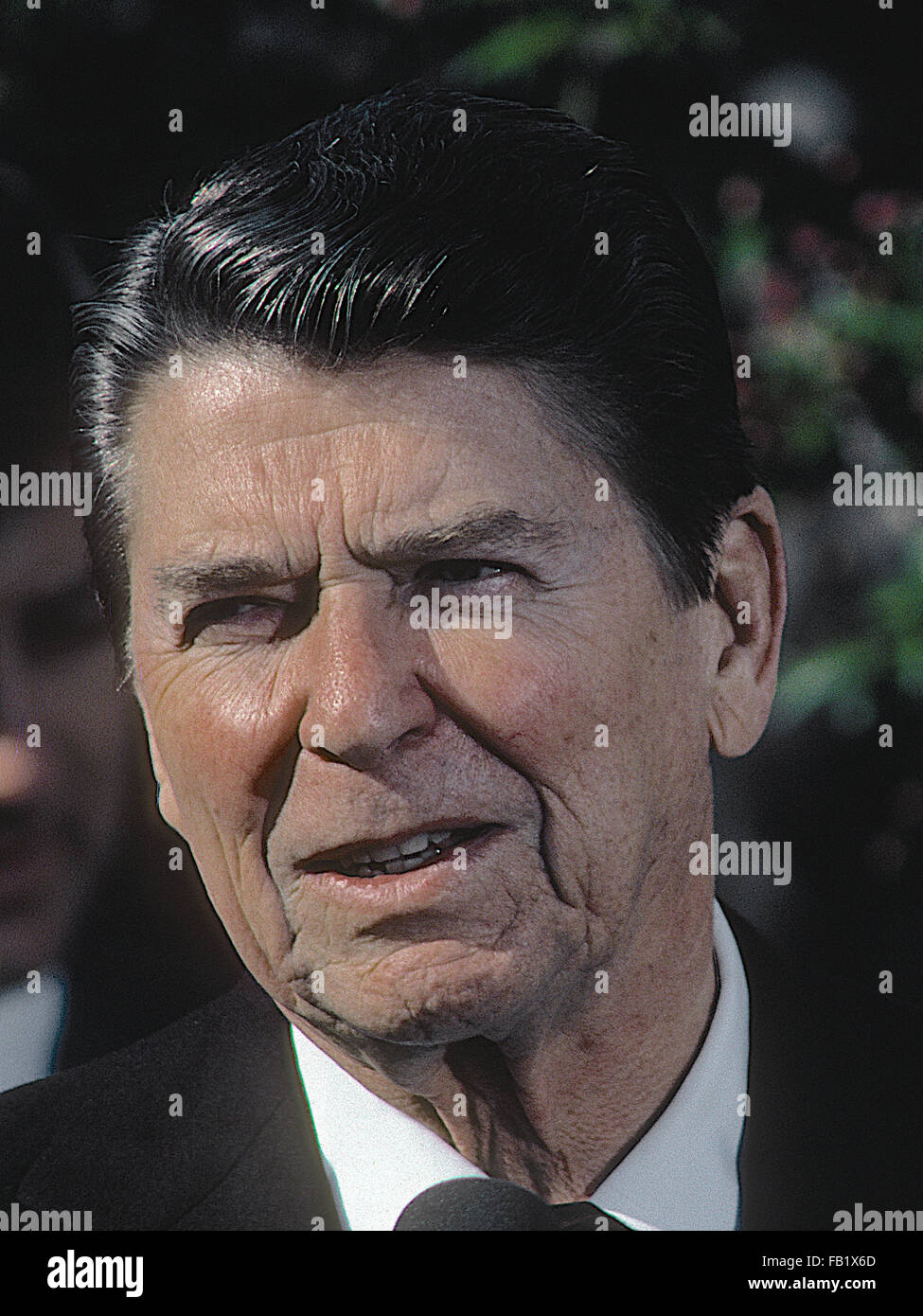 Washington, DC, USA, April 1984 Präsident Ronald Reagan im rose Garten April 1984.  Bildnachweis: Mark Reinstein Stockfoto