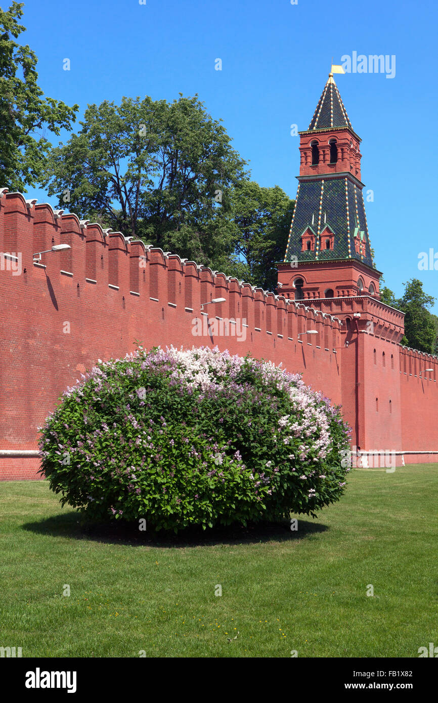 Die zweite unbenannte Tower (1480s) des Kreml in Moskau, Russland Stockfoto