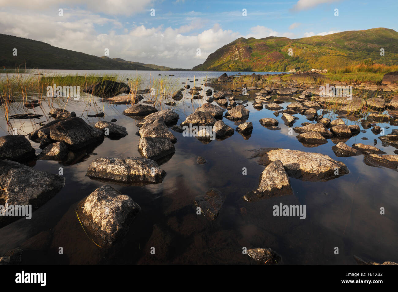 Lough Caragh auf der Iveragh-Halbinsel, County Kerry, Irland Stockfoto