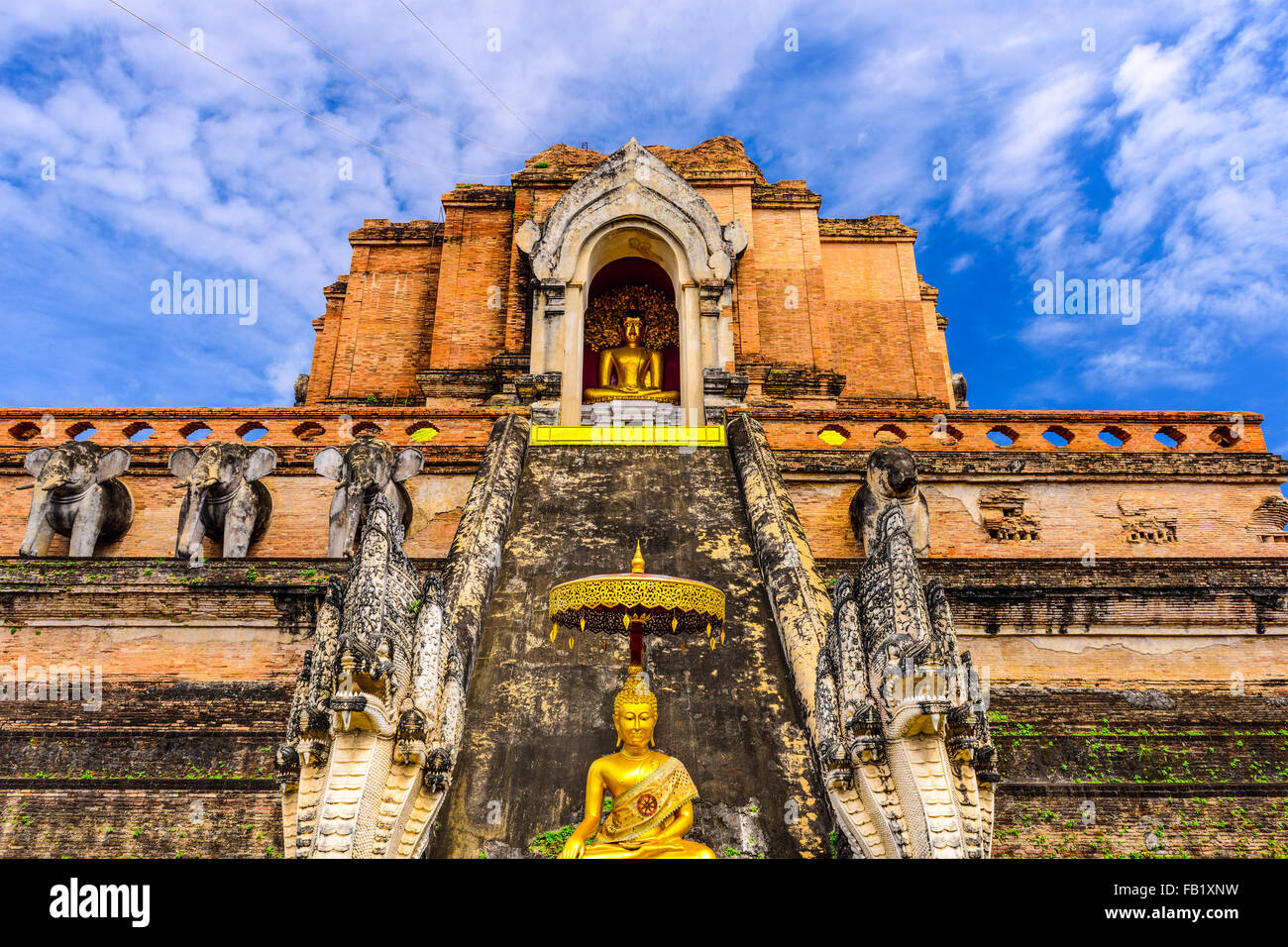 Chiang Mai, Thailand am Wat Chedi Luang. Stockfoto