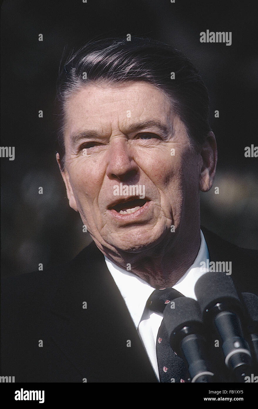 Washington, DC, USA, 16. November 1982 Präsident Ronald Reagan liefert Hinweise auf der offiziellen Staatsakt Ankunft für Bundeskanzler Helmut Kolh. Auf der südlichen Rasen des weißen Hauses. Bildnachweis: Mark Reinstein Stockfoto