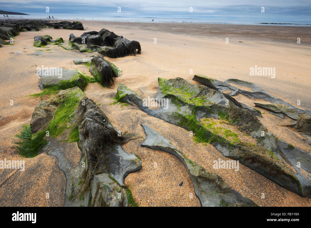 Felsen am Strand von Fanore in die Burren-Region, County Clare, Irland Stockfoto