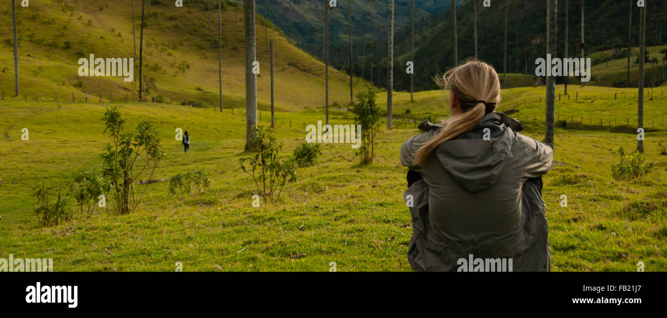 Mädchen mit grauer Jacke sitzt auf dem grünen Rasen, Palmen im Cocora-Tal beobachten Stockfoto