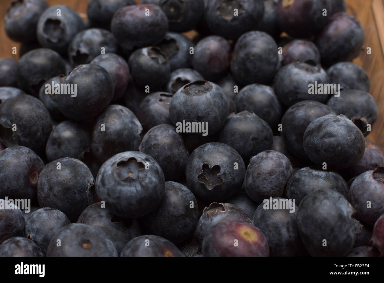 Frische Heidelbeeren Stockfoto