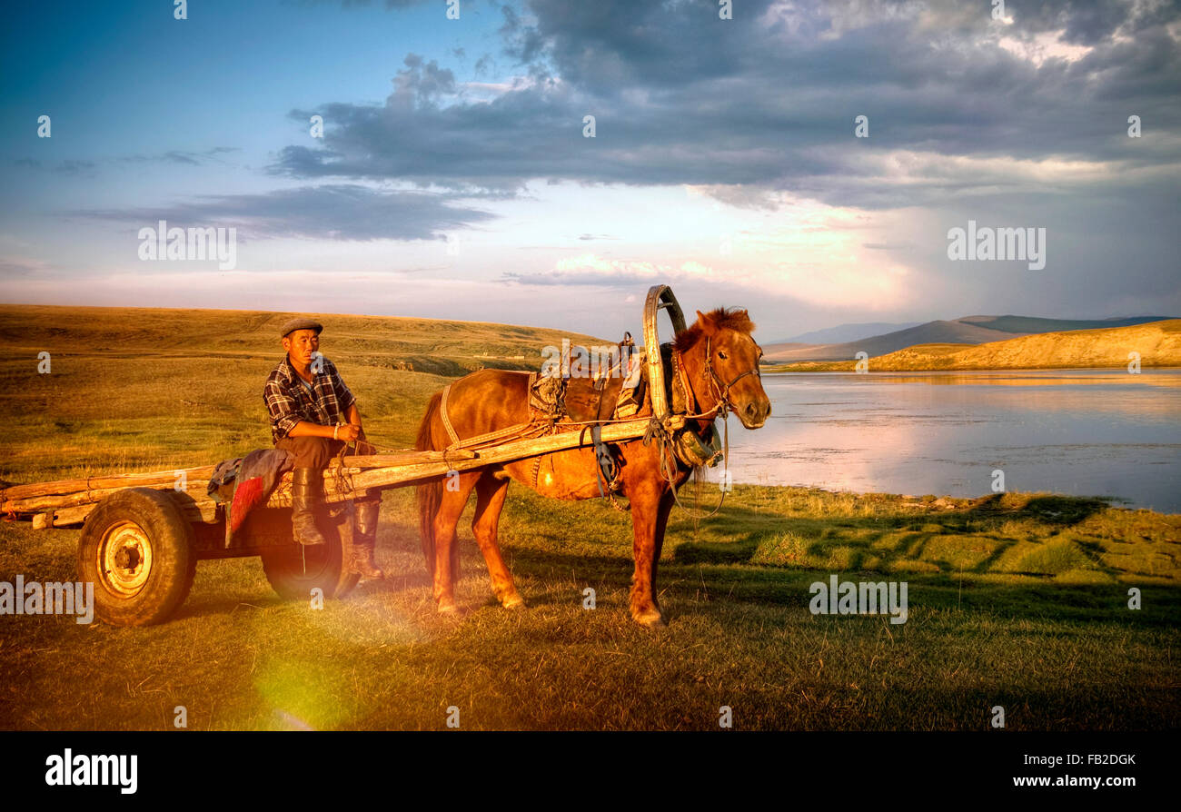 Pferd-Mann sitzt Pferd Wagen ländlichen abgelegenen Vorort Konzept Stockfoto