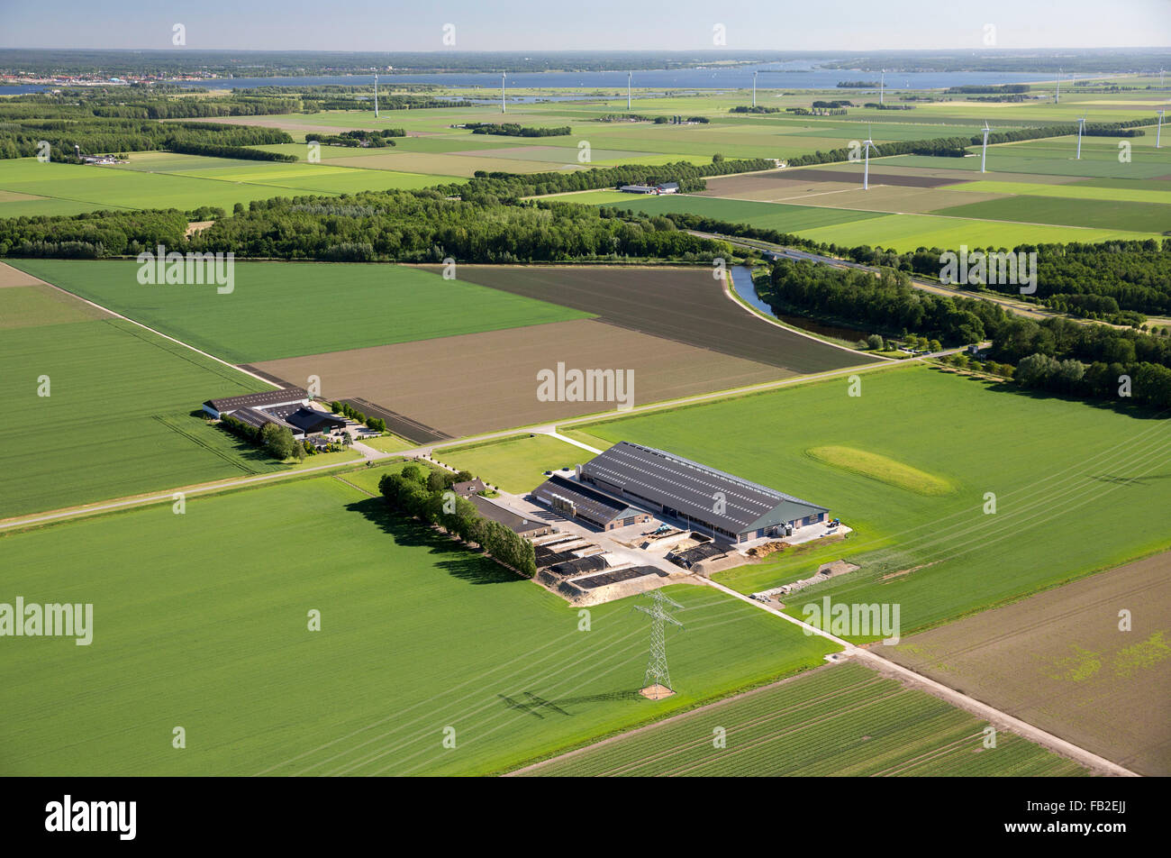 Niederlande, Lelystad, Bauernhöfe, Ackerland, Luftaufnahmen. Flovopolder. Stockfoto