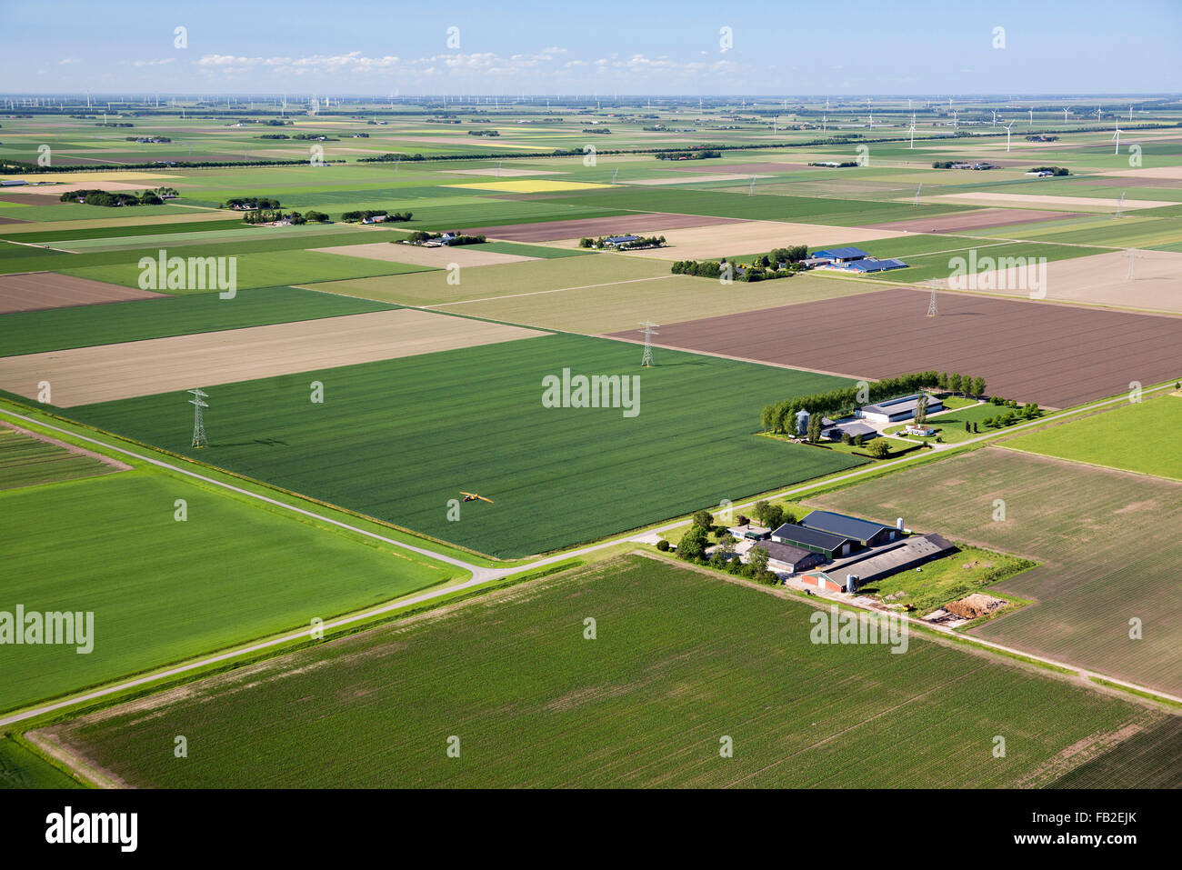 Niederlande, Lelystad, Bauernhöfe, Ackerland, Aeria. Flovopolder. Stockfoto
