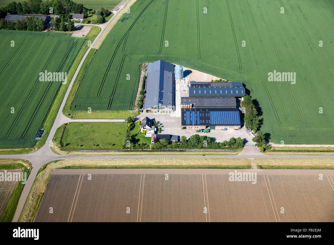 Niederlande, Lelystad, Bauernhof, Ackerland, Sonnenkollektoren auf dem Rood, Antenne. Flovopolder. Stockfoto