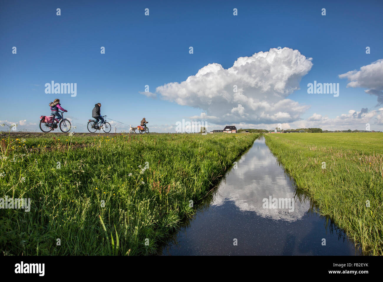 Niederlande, Lichtaard, Vater bringt zwei Töchter mit dem Fahrrad zur Schule. Polderlandschaft Stockfoto