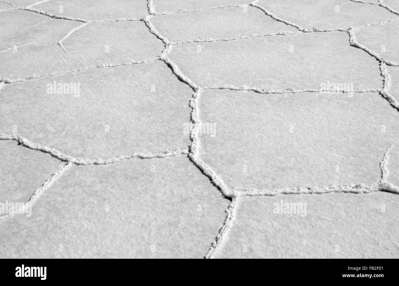 Nahaufnahme von Salzseen in Bolivien Südamerika im winter Stockfoto