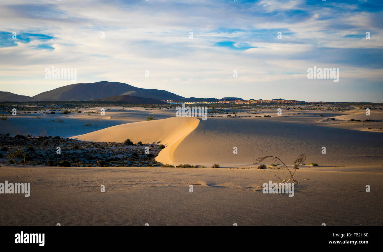 Sanddünen auf dem natürlichen reservieren in Corralejo Kanaren, Spanien Stockfoto