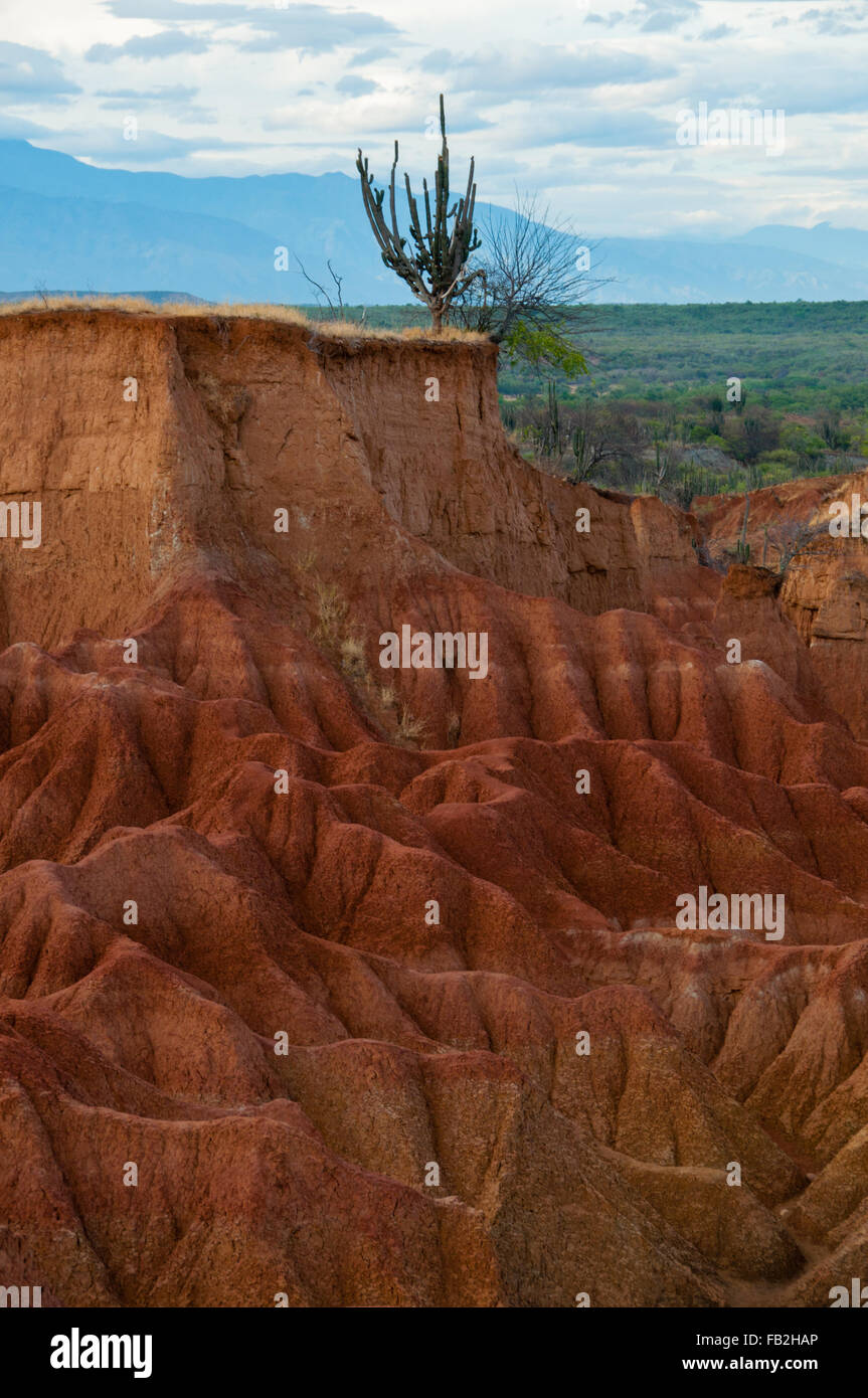 Großen roten Sand Stein Felsen trocken heißen Tatacoa Wüste mit Kakteen, huila Stockfoto