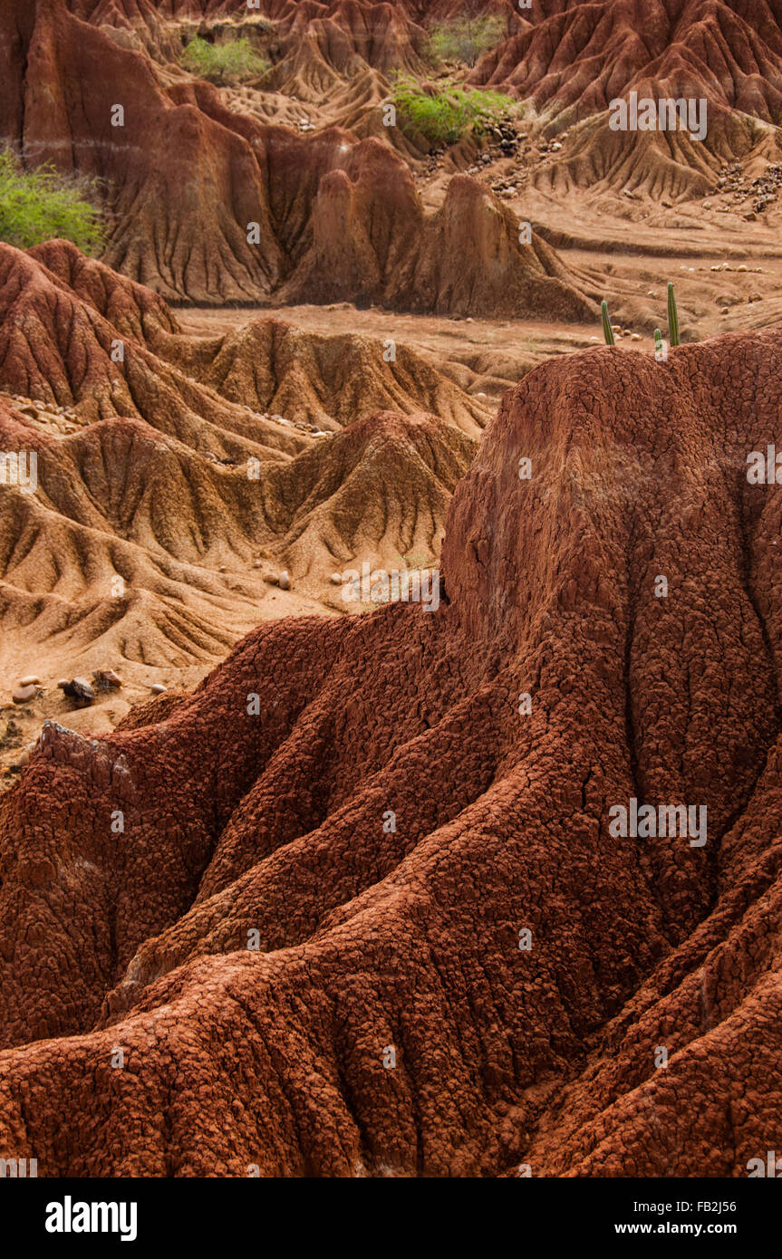 Großen roten Sand Stein Felsen vor trockenen heißen Tatacoa Wüste mit Pflanzen, huila Stockfoto