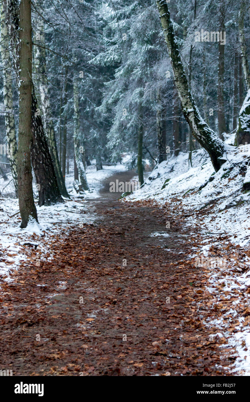 Nationalpark Böhmische Schweiz Stockfoto