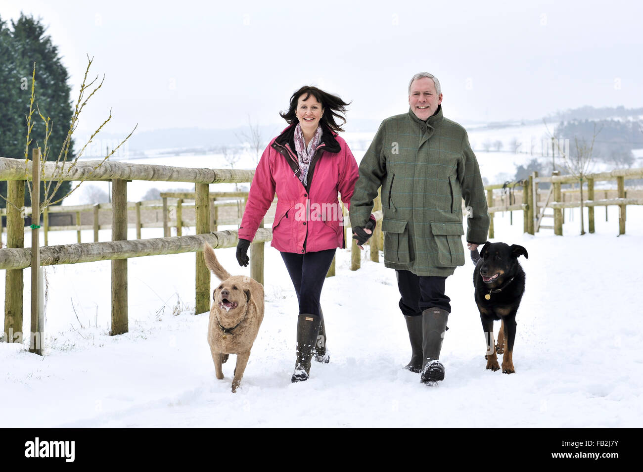 Applying paar Spaziergang mit ihrem Hund in eine Winterlandschaft Stockfoto