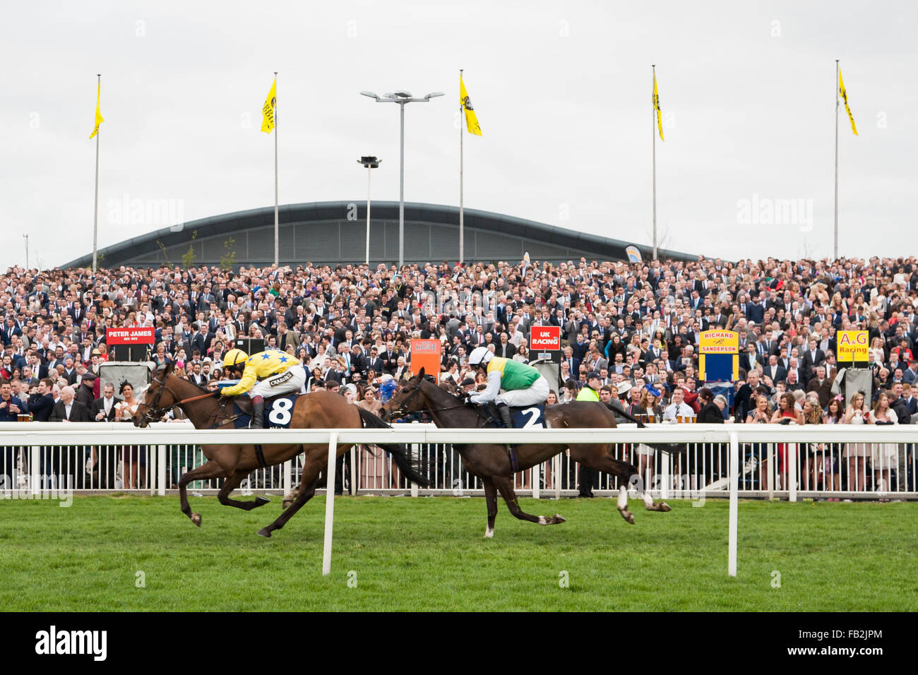 Zwei Pferde fliegen vorbei die Menge in Richtung Ziel direkt während des Wochenendes des 2014 Grand National in Aintree bei Liverpool. Stockfoto