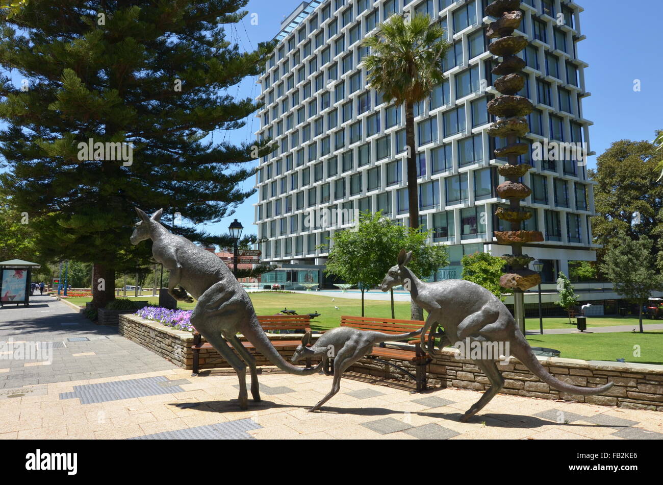 Känguru-Skulpturen vor Sozialwohnung und Stirling Gardens, Perth, Australien Stockfoto