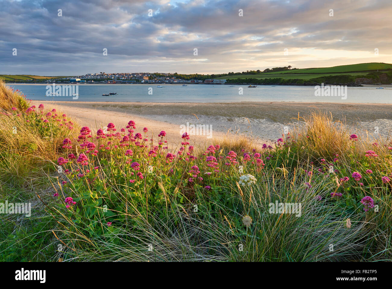 Ein Blick auf die Mündung des Flusses Camel in Richtung Padstow Stockfoto