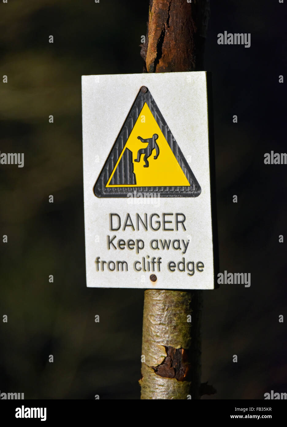"Gefahr fernhalten Klippe". Warnschild am Baum. Falls of Clyde, Bonnington, South Lanarkshire, Schottland, Großbritannien, Europa. Stockfoto