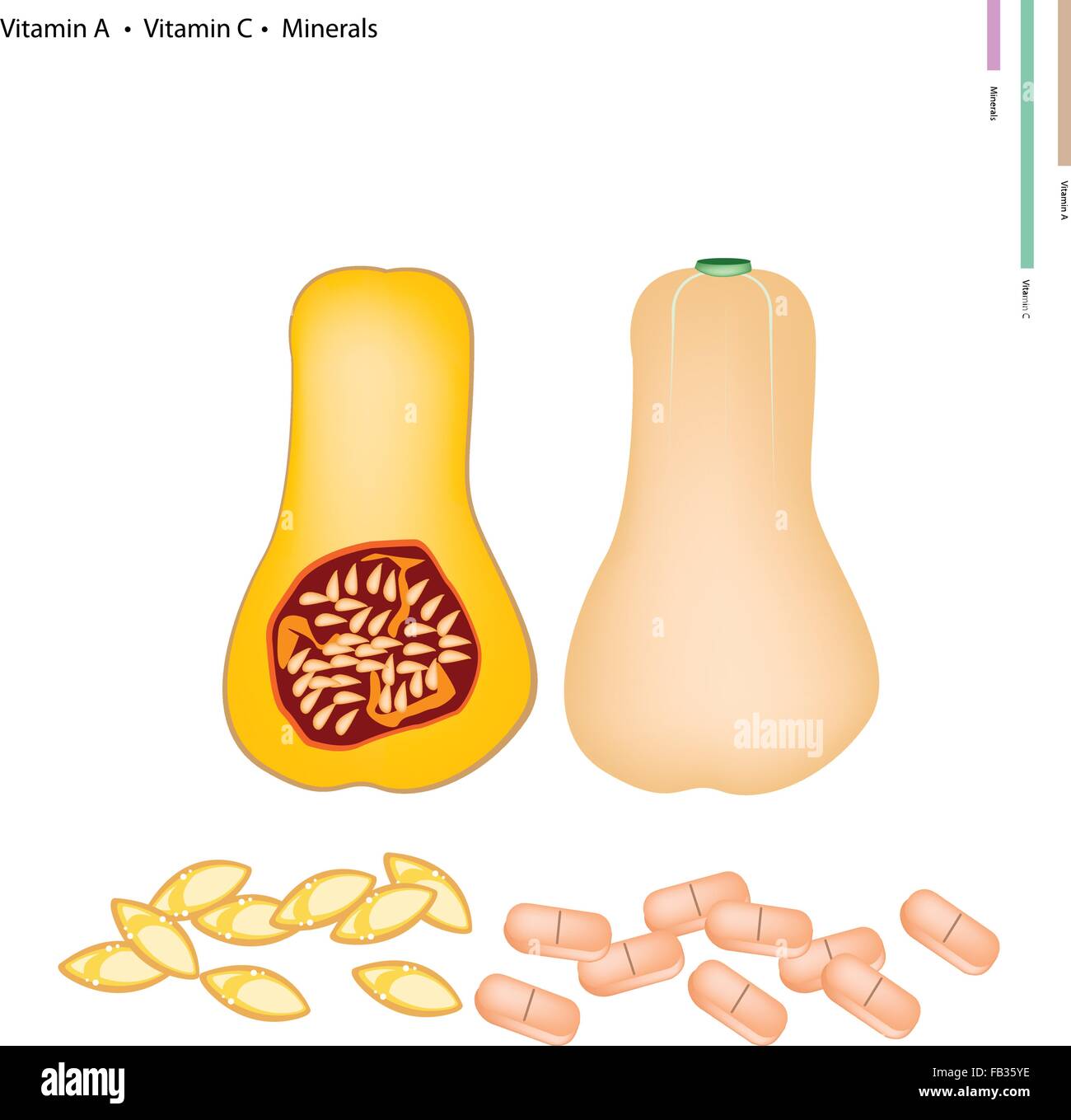 Medizinisches Konzept, Darstellung der Butternut-Kürbis oder Butternut-Kürbis mit Vitamin A, Vitamin C und Mineralien Tablette, Essenti Stock Vektor