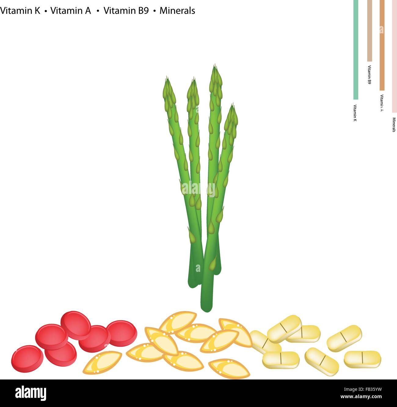 Medizinisches Konzept, Illustration von Spargel oder Spargel Officinalis mit Vitamin K, Vitamin A, Vitamin B9 und Mineralien Tablette Stock Vektor