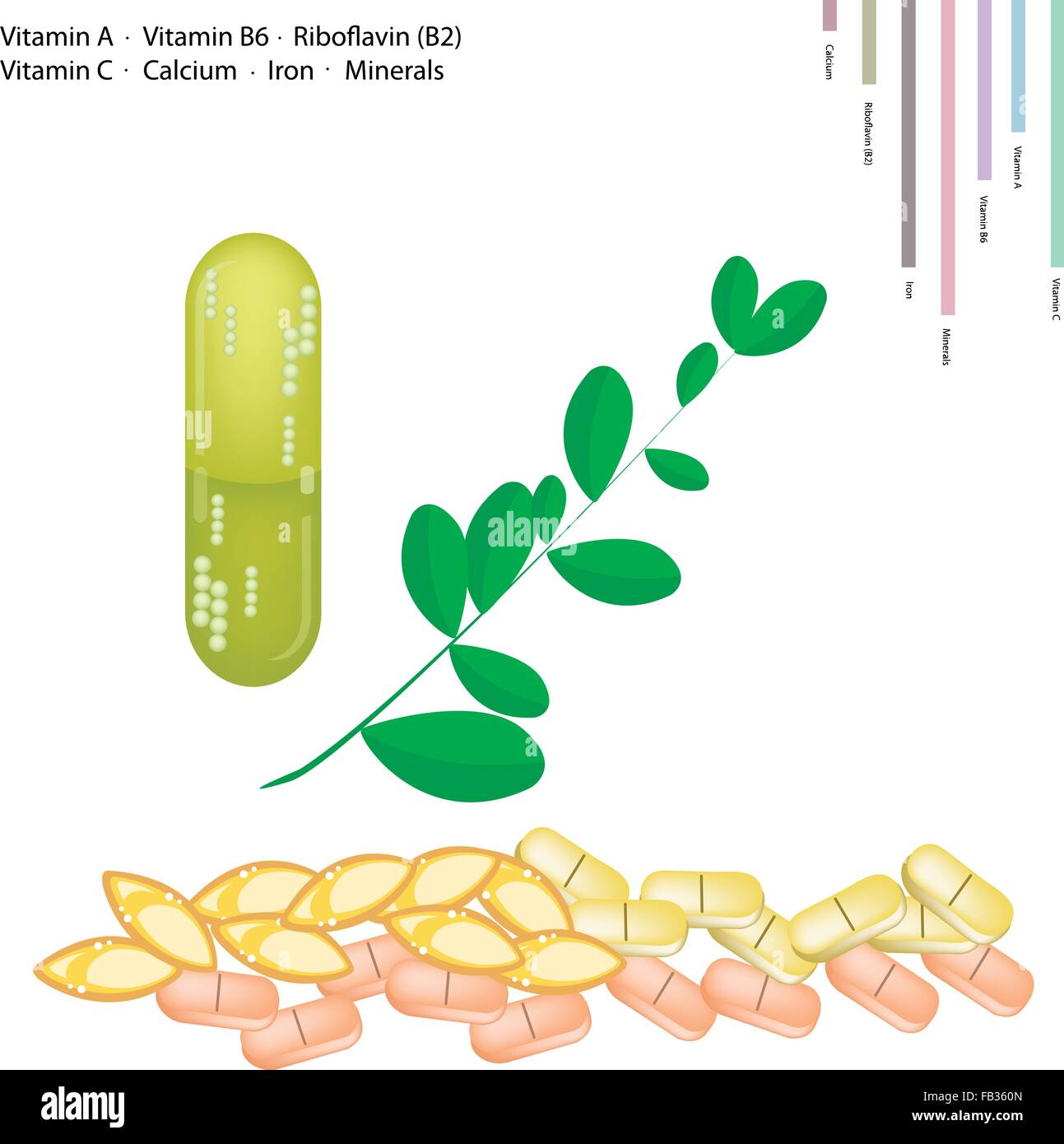Medizinisches Konzept, Illustration von frischen Moringa Blätter mit Vitamin A, Vitamin B6, Riboflavin oder B2, Vitamin C, Kalzium, Eisen, Stock Vektor