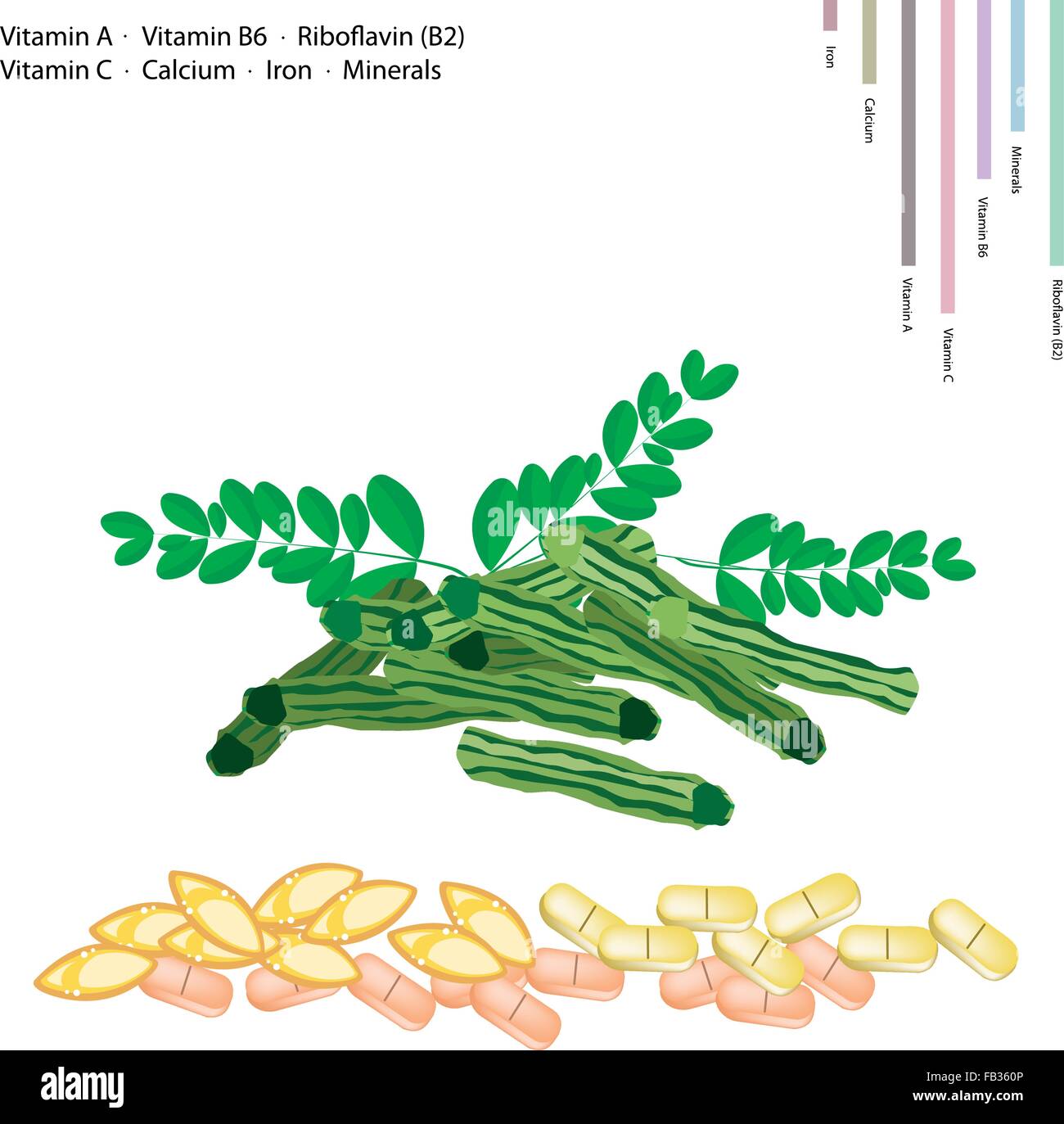 Medizinisches Konzept, Illustration von Moringa Kapseln mit Vitamin A, Vitamin B6, Riboflavin oder B2, Vitamin C, Kalzium, Eisen, Mineral Stock Vektor