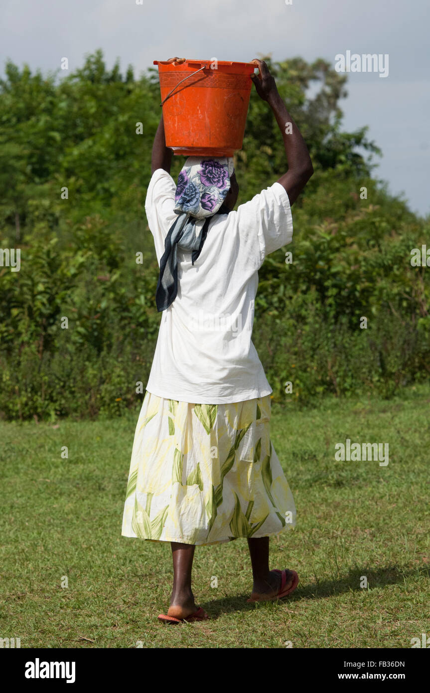 Kenianischen Dame Wasserholen zurück nach Hause vom Fluss, einen großen Eimer auf dem Kopf balancieren. Kenia. Stockfoto
