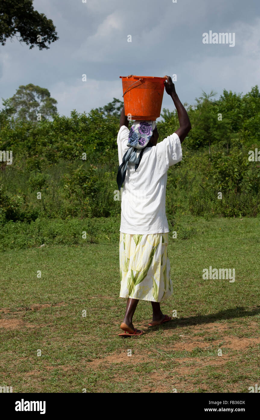 Kenianischen Dame Wasserholen zurück nach Hause vom Fluss, einen großen Eimer auf dem Kopf balancieren. Kenia. Stockfoto
