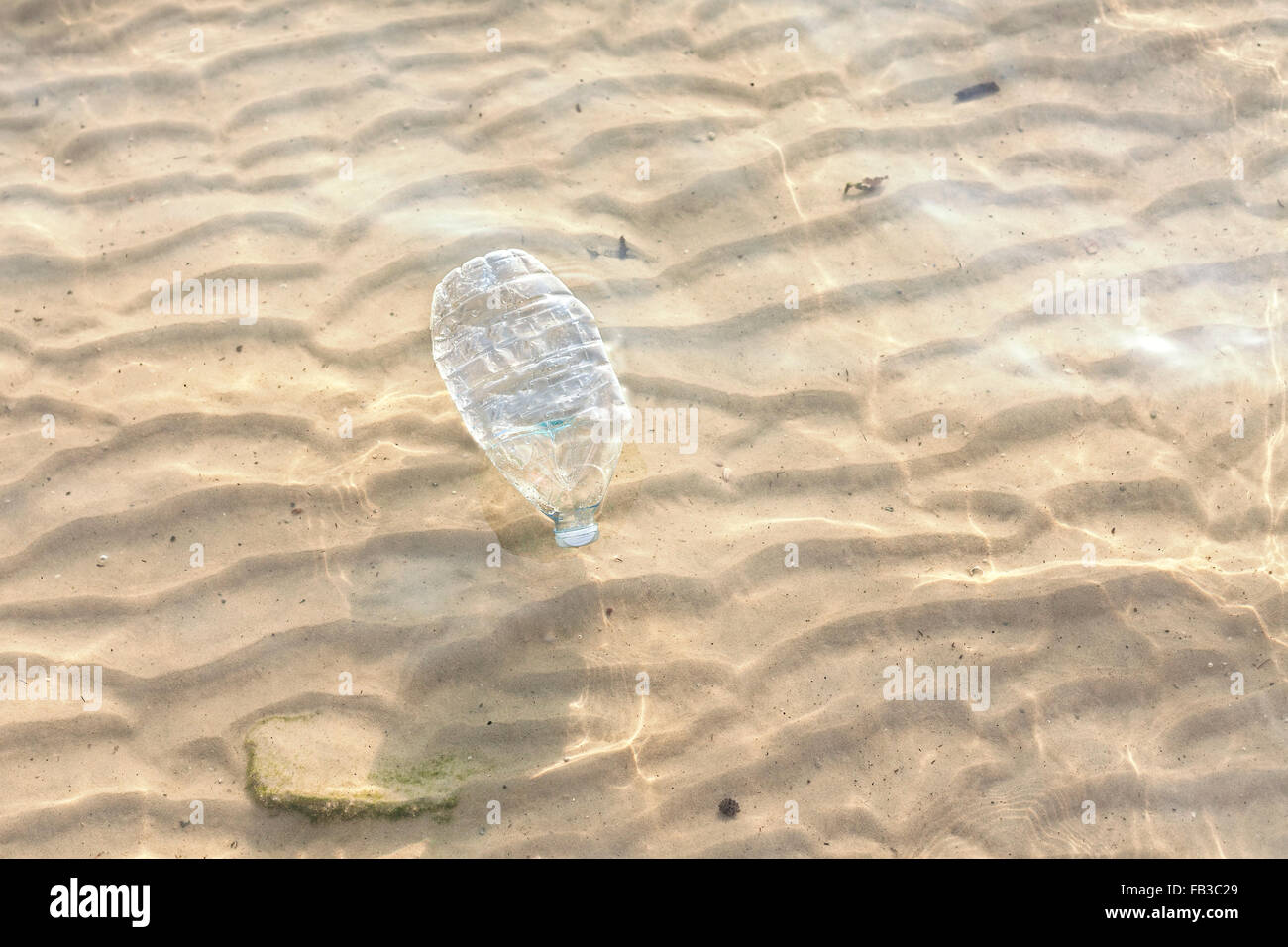 Kunststoff-Flasche im flachen Meerwasser, Umweltverschmutzung-Konzept. Stockfoto