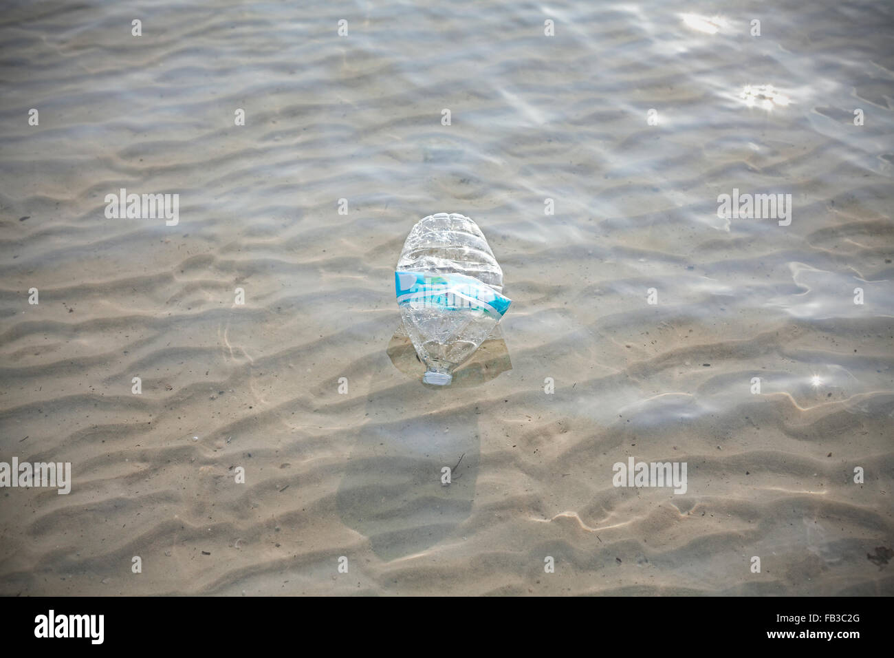 Kunststoff-Flasche im flachen Meerwasser, Umweltverschmutzung-Konzept. Stockfoto