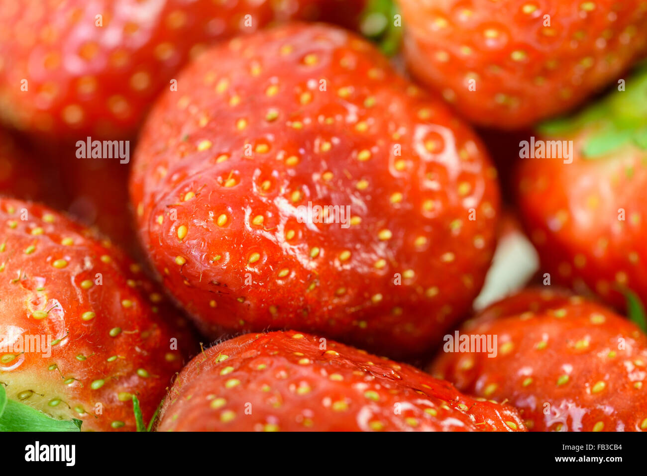 Frische rote Erdbeeren Makro im Obstmarkt Stockfoto