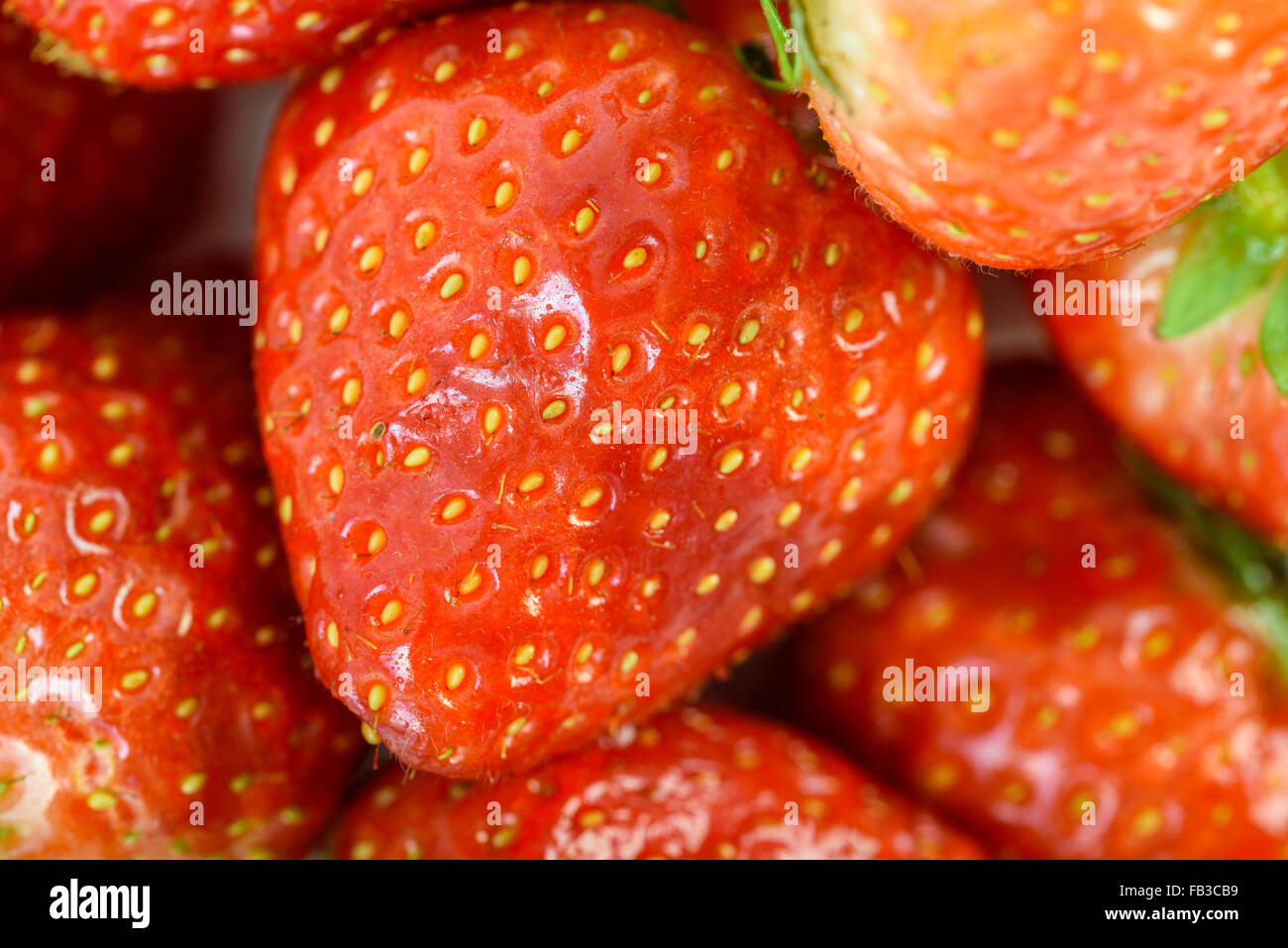 Frische rote Erdbeeren Makro im Obstmarkt Stockfoto