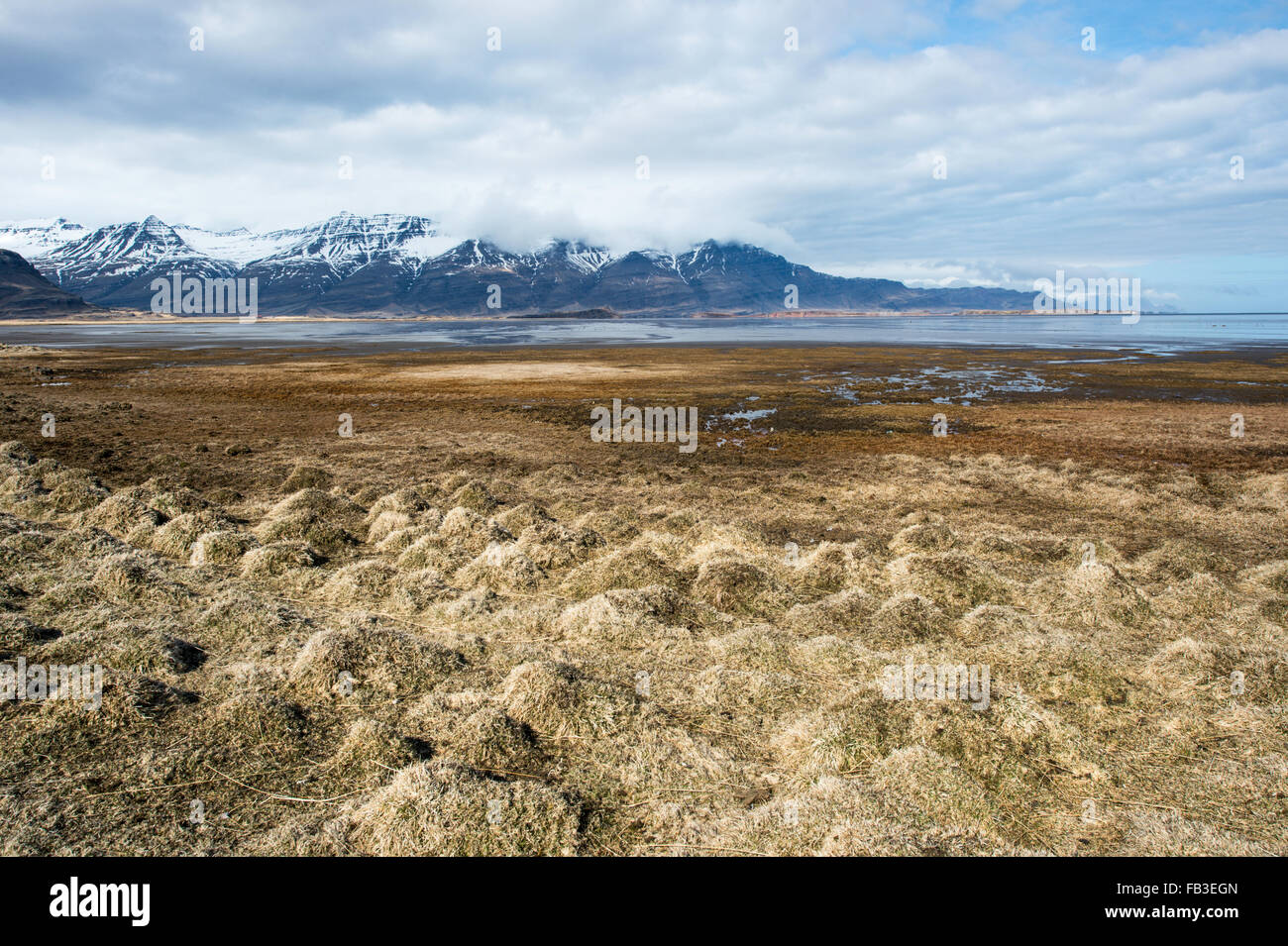 Einem ruhigen Fjord in Island Stockfoto