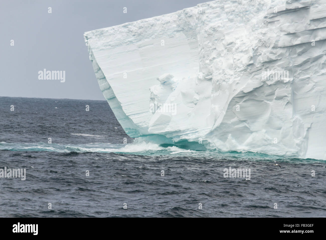 Wellen, die gegen Regal Eisberg schwimmend im Meer nahe der antarktischen Halbinsel. Stockfoto