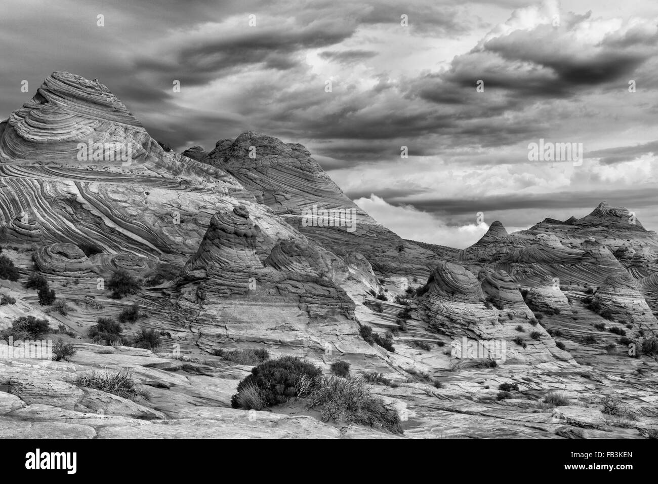 Ansicht der Steinwüste in Coyote Buttes North Wildnis Bereich, Arizona, USA Stockfoto